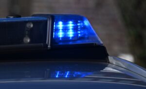 Zeugen machten die Polizei auf die Küken in dem Müllsack aufmerksam. (Symbolbild)