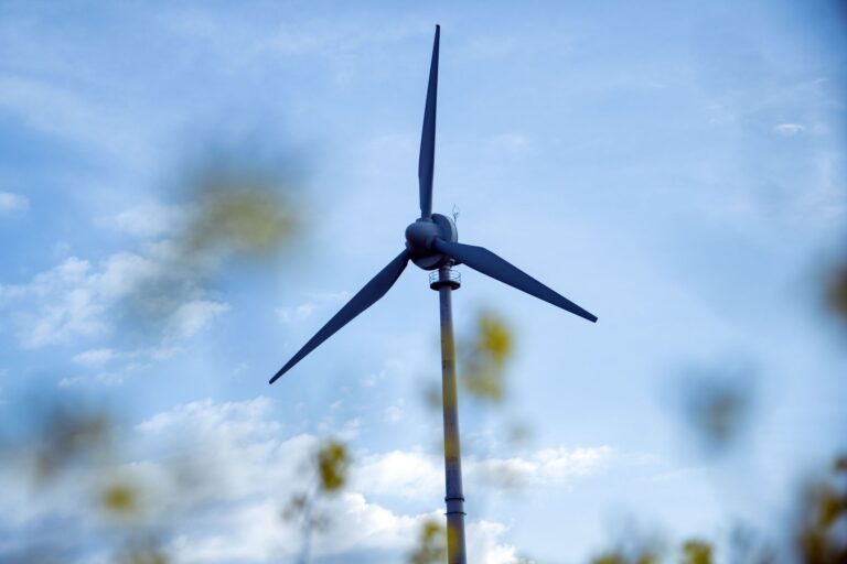 Der Ausbau der Erneuerbaren ist ein Faktor für mehr Klimaschutz in Bayern. Wie der Freistaat hier vorankommt, steht jedes Jahr im Klimabericht. Der könnte aber schon bald gestrichen werden. (Illustration) Foto: Pia Bayer/dpa