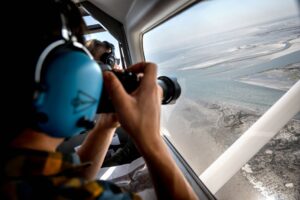 Von einem Flugzeug aus werden die Seehunde im Wattenmeer gezählt - größere Ansammlungen werden dafür fotografiert. (Archivbild)