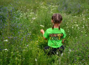 Rund 90 Kinder und Jugendliche treffen sich an diesem Wochenende zur 21. Auflage des Junior-Ranger-Camps in Criewen.
