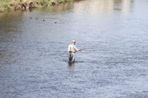 In Thüringen machen Niedrigwasser und hohe Wassertemperaturen den Fischen zu schaffen. Immer mehr Gewässer werden deshalb vorübergehend für Angler gesperrt. (Archivfoto)