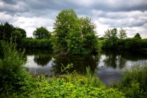 Die Suche nach einem vermeintlichen Alligator hatte in Vechta für Aufregung gesorgt. (Archivbild)