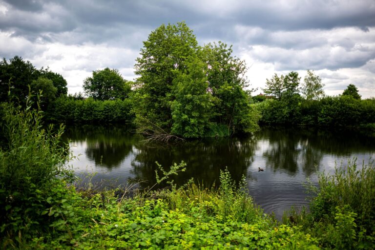 Die Suche nach einem vermeintlichen Alligator hatte in Vechta für Aufregung gesorgt. (Archivbild) Foto: Sina Schuldt/dpa
