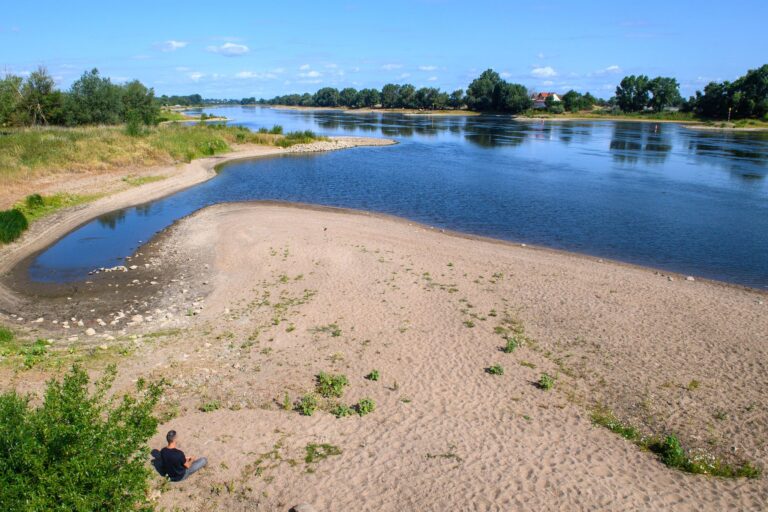 Die Elbe führt in Sachsen-Anhalt und Sachsen immer weniger Wasser Foto: Klaus-Dietmar Gabbert/dpa