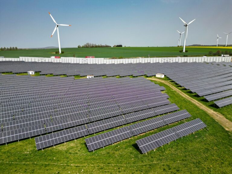 Die Grünen wollen keinen Wald mehr für Solaranlagen geopfert sehen. (Archivbild) Foto: Jan Woitas/dpa