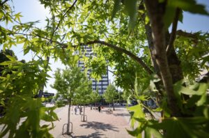 Umweltsenatorin Fegebank zieht für Hamburg positive Baumbilanz (Archivbild).