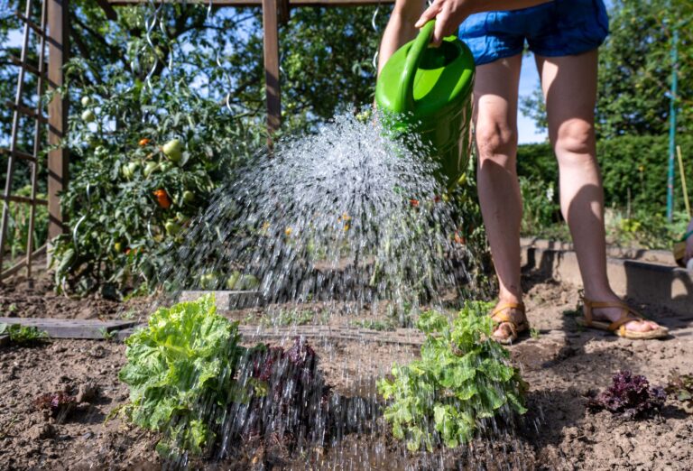 Aufgrund der niedrigen Wasserstände darf in einzelnen Landkreisen derzeit kein Wasser mehr aus Flüssen entnommen werden. (Symbolbild) Foto: Hendrik Schmidt/dpa