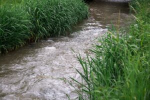 Eine naturbelassene Werra und renaturierte Flussauen: Das ist das Ziel eine Projekts, das nun im thüringischen Wartburgkreis gestartet ist. (Archivfoto)