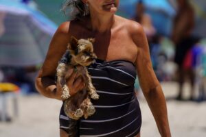 Hunde können meist gut mit in den Urlaub genommen werden, wenn die Unterkunft tierfreundlich ist.