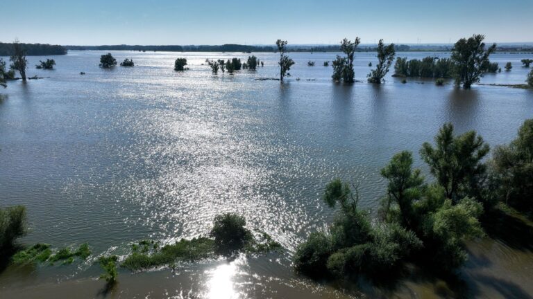 Im vergangenen Jahr hatten Hochwasser vor allem im Süden und Osten Sachsen-Anhalts für Überschwemmungen gesorgt. (Archivbild) Foto: Heiko Rebsch/dpa