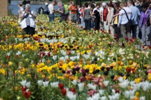 2009 lockte die Bundesgartenschau viele Besucher an. Nun gibt es neue Pläne. (Archivbild)