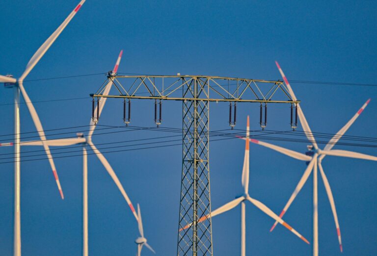 Windräder stehen still, wenn die Netze den Strom nicht aufnehmen können. Auch das verursacht Kosten, die der Verbraucher trägt. (Illustration)  Foto: Patrick Pleul/dpa