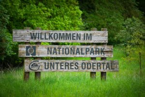 Der Nationalpark Unteres Odertal wird zum Treffpunkt junger Naturschützer. (Archivfoto)