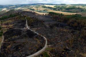 Laut der Landesforstanstalt durchziehen derzeit rund 11.100 Kilometer Weg die Thüringer Wälder.
