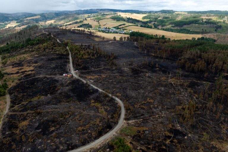 Laut der Landesforstanstalt durchziehen derzeit rund 11.100 Kilometer Weg die Thüringer Wälder. Foto: Michael Reichel/dpa
