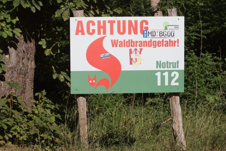 In Karlsfeld bei Wittenberg hat ein Vegetationsbrand für einen Großeinsatz gesorgt (Archivbild) Foto: Matthias Bein/dpa