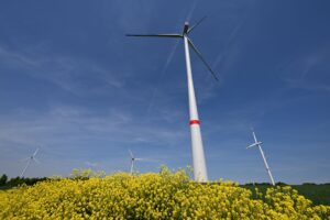 Windkraftunternehmen sehen großes Potenzial in den geplanten neuen Flächen zum Bau von Windrädern in Nord- und Ostthüringen. (Archivbild)