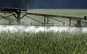 Der Einsatz von Chemikalien ist in der Landwirtschaft schon lange umstritten. Er schadet vielen Tierarten und ist auch für Menschen gesundheitsschädlich. (Symbolbild)