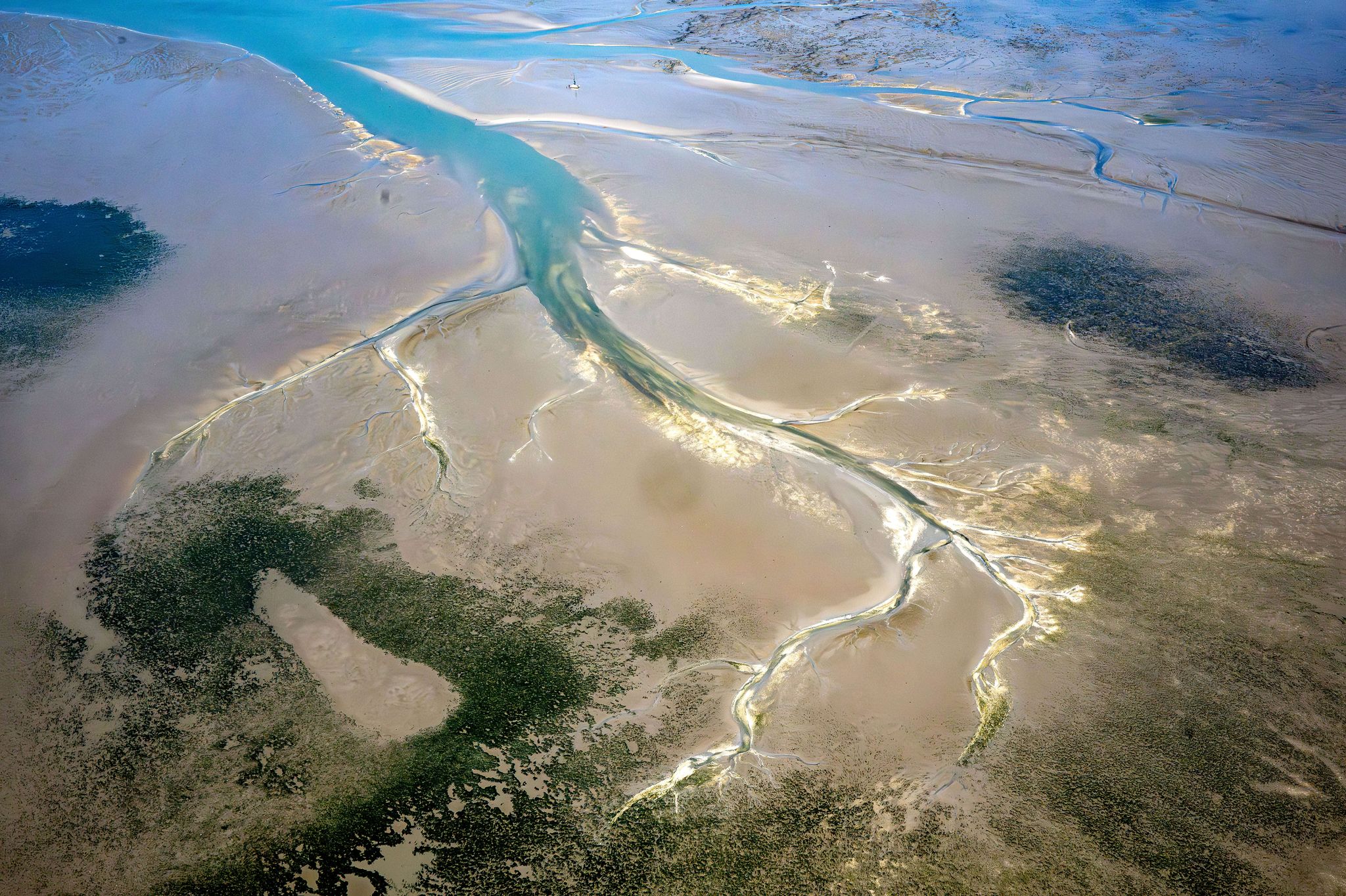 Studie: Wie verändert sich das Wattenmeer?