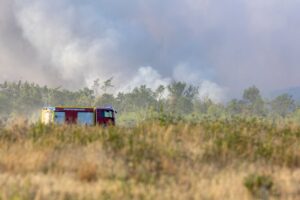 Örtliche Einsatzkräfte arbeiten gemeinsam mit dem Katastrophenschutz an der Bekämpfung der Flammen.