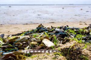 Die ökologische Belastung der deutschen Küsten ist groß - künftig will die Deutsche Bundesstiftung Umwelt pro Jahr 10 Millionen Euro für Schutzprojekte ausgeben.
