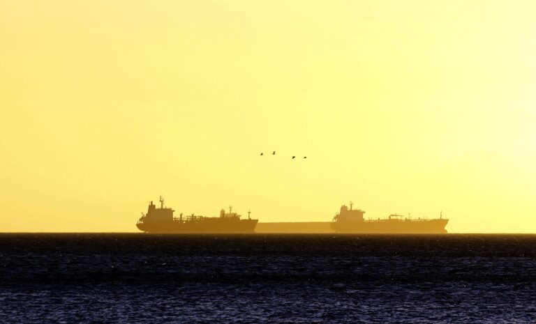 Eine Gruppe Öltanker liegt auf dem Meer. (Symbolbild) Foto: Juan Carlos Hernandez/ZUMA Wire/dpa