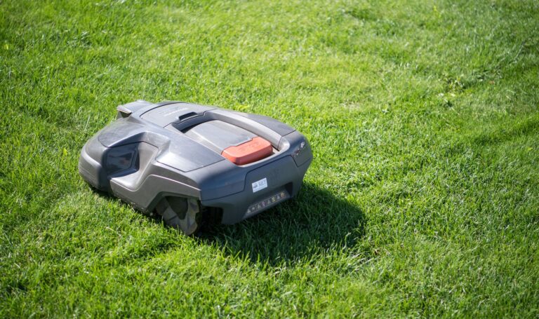 Verstöße gegen das Verbot können mit bis zu 50.000 Euro Strafe geahndet werden. (Symbolfoto) Foto: Sebastian Gollnow/dpa