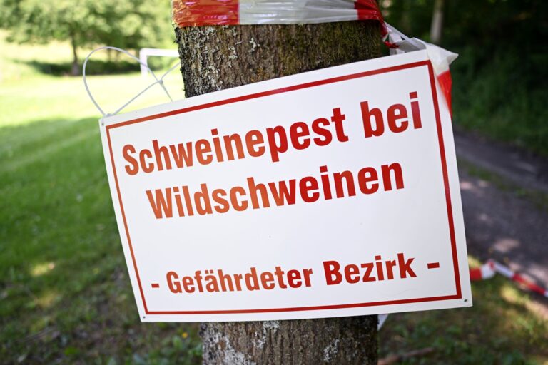 Hier gelten besondere Regeln zum Beispiel für Hundehalter. (Archivbild) Foto: Federico Gambarini/dpa
