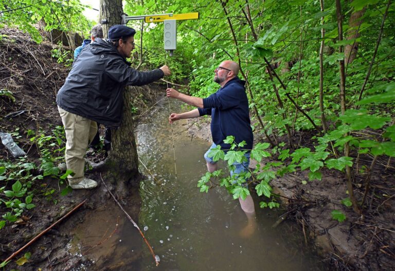 KI soll bei der Überwachung der Wasserqualität kleinerer Flüsse und Bäche helfen.  Foto: Martin Schutt/dpa