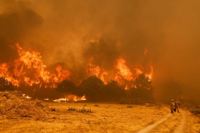 Die Brandbekämpfer sehen sich teilweise mit riesigen Feuerwänden konfrontiert, die durch stürmische Winde jederzeit blitzartig die Richtung ändern können.  Foto: Lalo R. Villar/AP/dpa