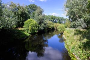 Flüsse wie die Leine leiden in Niedersachsen zunehmend unter niedrigen Wasserständen.