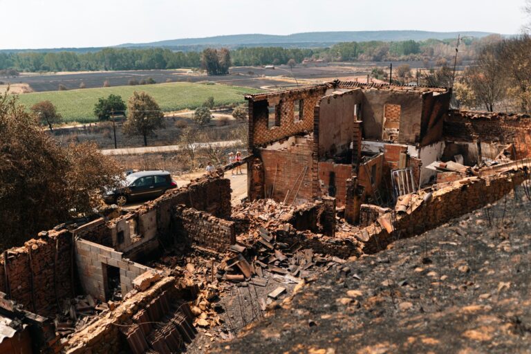 Die Brände in Spanien haben große Schäden angerichtet. Foto: Lorena Sopêna/EUROPA PRESS/dpa