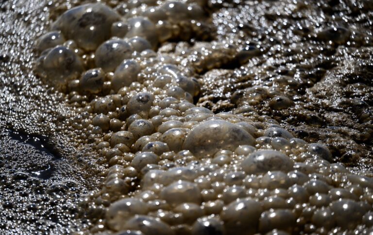 Mit Partnern aus Wissenschaft, Behörden und Industrie stellt ein Verband im Burgenlandkreis die Weichen für eine nachhaltige Wasseraufbereitung. (Archivfoto) Foto: Hendrik Schmidt/dpa