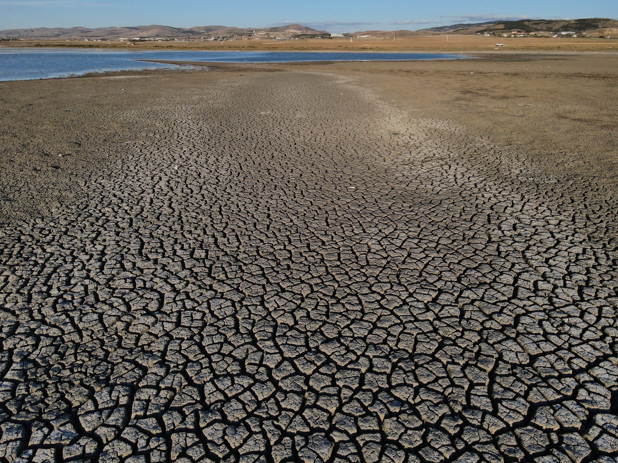 Trockenheit: Wenn das Wasser knapp wird