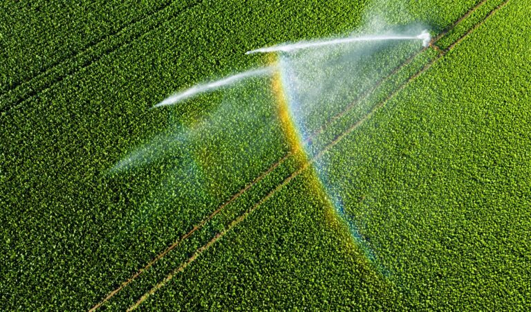 An mehr als der Hälfte der Messstellen bewegen sich die Grundwasserstände derzeit im normalen Bereich. (Symbolbild)  Foto: Julian Stratenschulte/dpa