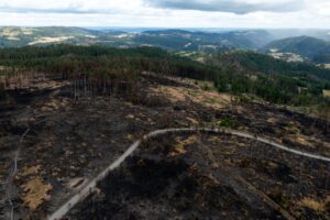 Das Feuer auf der Saalfelder Höhe war der größte bekannte Waldbrand in Thüringen seit Jahrzehnten. (Archivbild)