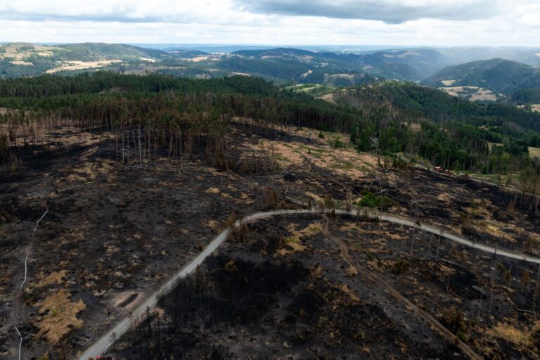 Das Feuer auf der Saalfelder Höhe war der größte bekannte Waldbrand in Thüringen seit Jahrzehnten. (Archivbild) Foto: Michael Reichel/dpa