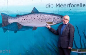 Till Backhaus (SPD), Agrar- und Umweltminister von Mecklenburg-Vorpommern. Mit dem Rückbau von Gewässerhindernissen ist der Meerforelle die Rückkehr in angestammt Laichgebiete ermöglicht worden. (Archivbild)