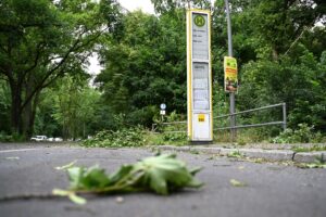 Im Bezirk Reinickendorf im Nordwesten Berlins waren die Sturmschäden nach zwei Unwetter Ende Juni besonders stark. (Archivbild)