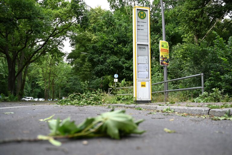 Im Bezirk Reinickendorf im Nordwesten Berlins waren die Sturmschäden nach zwei Unwetter Ende Juni besonders stark. (Archivbild) Foto: Michael Brandt/dpa