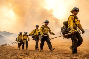 Mehr als 2.000 Einsatzkräfte kämpfen gegen das «Gifford Fire» in einem Waldgebiet nahe Santa Barbara.