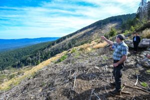 Wirtschaftsminister Hubert Aiwanger steht in einem Waldstück nahe Bodenmais (Landkreis Regen), in dem nach Borkenkäferbefall etliche abgestorbene Bäume übriggeblieben sind.