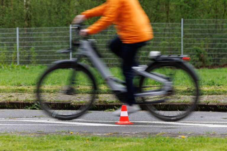 Sachsen fördert ein Fahrrad-Akku-Recycling in Kamenz. (Symbolfoto) Foto: Friso Gentsch/dpa