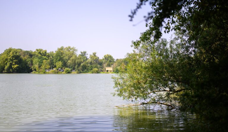 Blick auf den Großen Teich der Ricklinger Kiesteiche. Die Region Hannover hat für das Gewässer wegen erhöhter Konzentration von Blaualgen ein Badeverbot ausgesprochen. Foto: Julian Stratenschulte/dpa