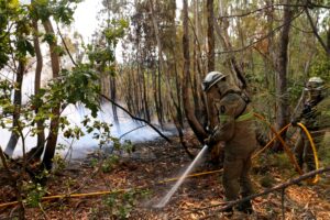 In Portugal gibt es eine leichte Entspannung bei den schweren Waldbränden. Noch aber sind rund 1.400 Feuerwehrleute im Einsatz.
