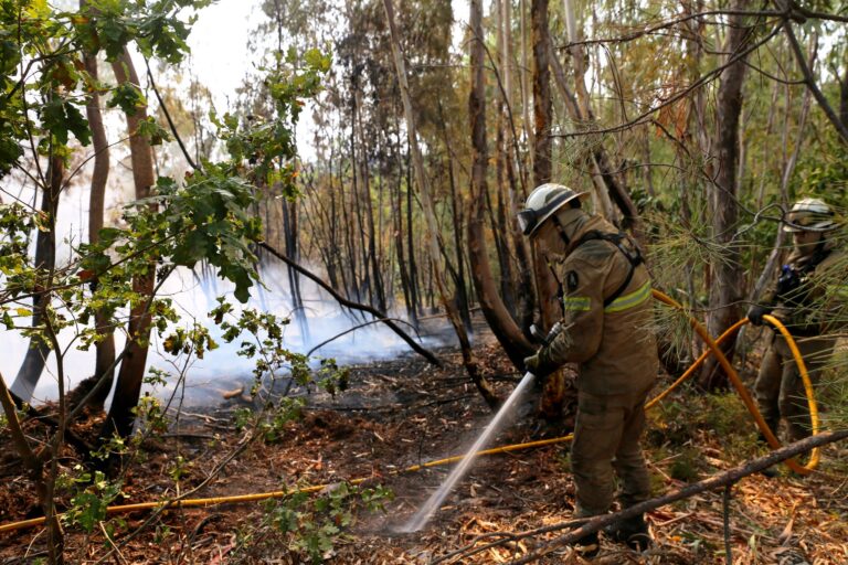 In Portugal gibt es eine leichte Entspannung bei den schweren Waldbränden. Noch aber sind rund 1.400 Feuerwehrleute im Einsatz. Foto: Xun Wei/XinHua/dpa