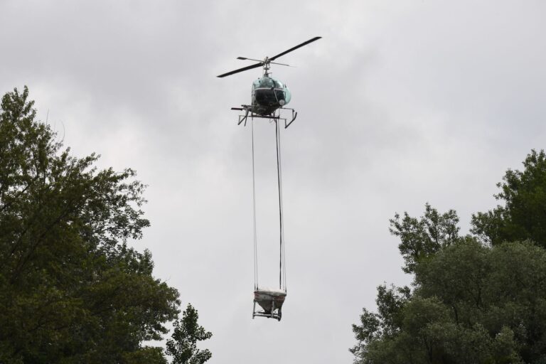 Schöpfkontrollen zeigten zuletzt teils bis zu 200 Larven pro Liter. (Archivfoto) Foto: Uli Deck/dpa