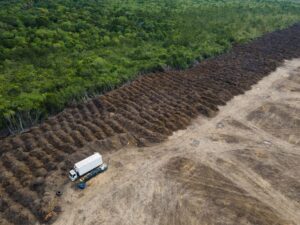 Im brasilianischen Amazonasgebiet sind seit 1985 rund 52 Millionen Hektar Natur verloren gegangen – eine Fläche größer als Spanien. (Archivbild)