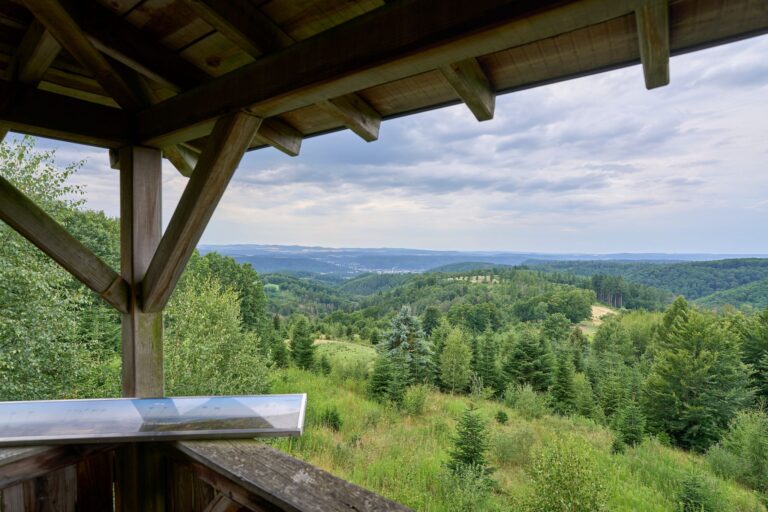 Im Wald ist es immer noch zu trocken. (Archivfoto) Foto: Sascha Ditscher/dpa