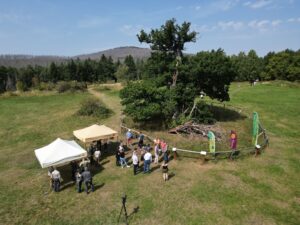 Blick auf die 500 Jahre alte Hohne-Eiche in Drei-Annen-Hohne während der Feierstunde zur Auszeichnung.